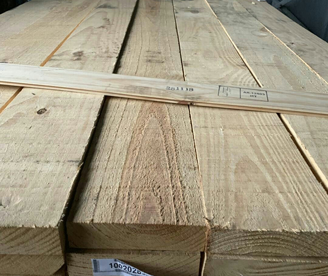 武夷山阿根廷松木